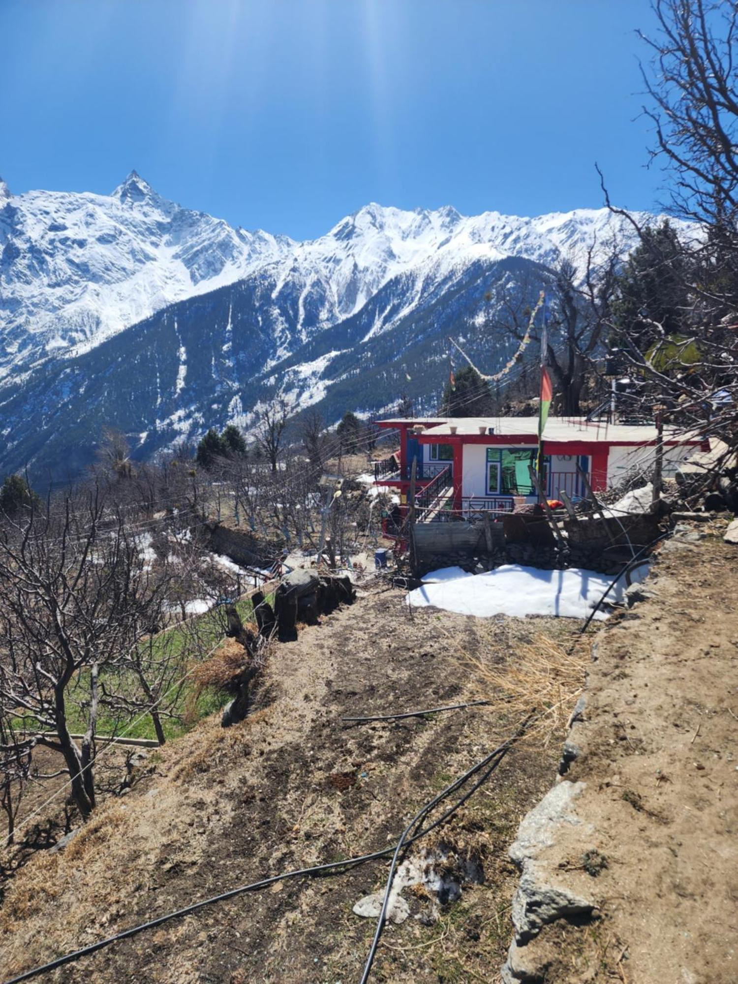 Safarnama Retreat Homestay - All Rooms With Mountain View Kalpa Exterior foto